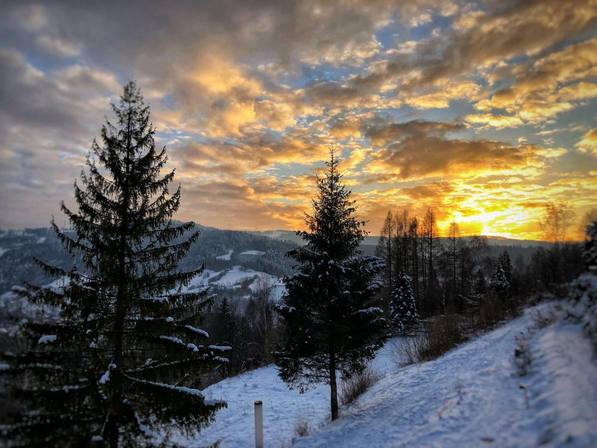 The Beskid View 维斯拉 外观 照片
